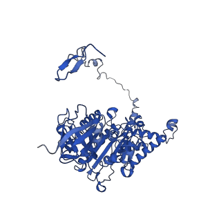 4817_6rdg_Z_v1-2
CryoEM structure of Polytomella F-ATP synthase, Primary rotary state 3, focussed refinement of F1 head and rotor