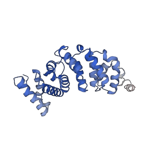 4818_6rdh_3_v1-3
CryoEM structure of Polytomella F-ATP synthase, Rotary substate 1A, composite map