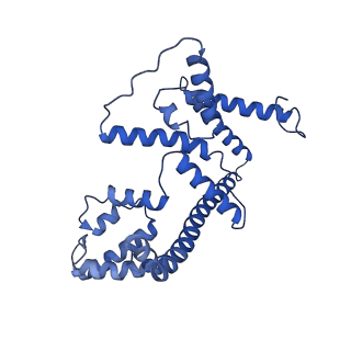 4818_6rdh_4_v1-3
CryoEM structure of Polytomella F-ATP synthase, Rotary substate 1A, composite map