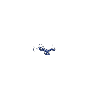 4818_6rdh_5_v1-3
CryoEM structure of Polytomella F-ATP synthase, Rotary substate 1A, composite map