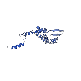 4818_6rdh_7_v1-3
CryoEM structure of Polytomella F-ATP synthase, Rotary substate 1A, composite map