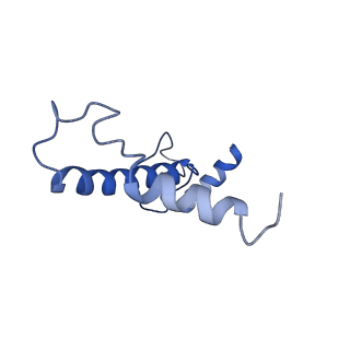4818_6rdh_9_v1-3
CryoEM structure of Polytomella F-ATP synthase, Rotary substate 1A, composite map