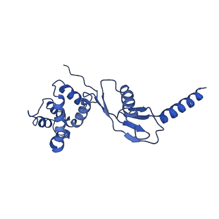 4818_6rdh_P_v1-3
CryoEM structure of Polytomella F-ATP synthase, Rotary substate 1A, composite map