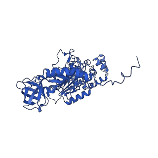 4818_6rdh_T_v1-3
CryoEM structure of Polytomella F-ATP synthase, Rotary substate 1A, composite map