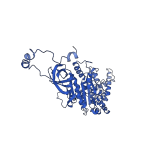 4818_6rdh_U_v1-3
CryoEM structure of Polytomella F-ATP synthase, Rotary substate 1A, composite map