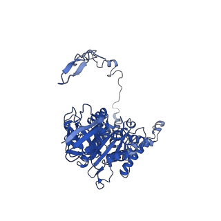 4818_6rdh_Z_v1-3
CryoEM structure of Polytomella F-ATP synthase, Rotary substate 1A, composite map