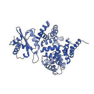 4819_6rdi_2_v1-2
Cryo-EM structure of Polytomella F-ATP synthase, Rotary substate 1A, monomer-masked refinement
