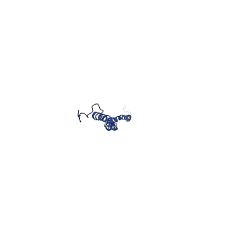 4819_6rdi_5_v1-2
Cryo-EM structure of Polytomella F-ATP synthase, Rotary substate 1A, monomer-masked refinement