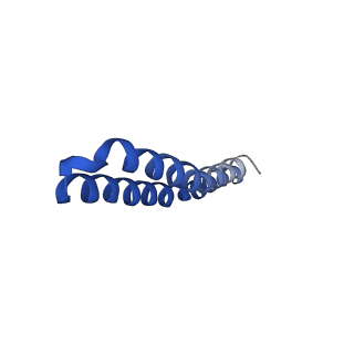 4819_6rdi_C_v1-2
Cryo-EM structure of Polytomella F-ATP synthase, Rotary substate 1A, monomer-masked refinement