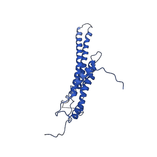 4819_6rdi_M_v1-2
Cryo-EM structure of Polytomella F-ATP synthase, Rotary substate 1A, monomer-masked refinement