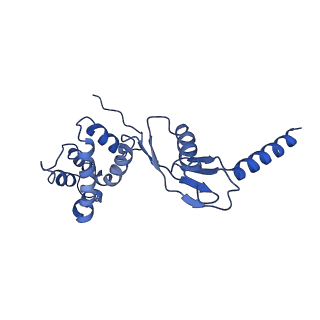4819_6rdi_P_v1-2
Cryo-EM structure of Polytomella F-ATP synthase, Rotary substate 1A, monomer-masked refinement
