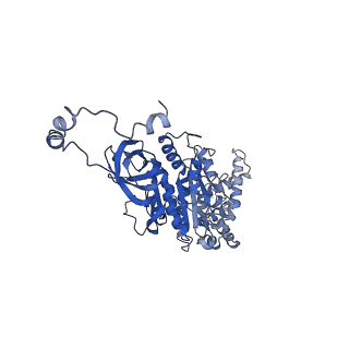 4819_6rdi_U_v1-2
Cryo-EM structure of Polytomella F-ATP synthase, Rotary substate 1A, monomer-masked refinement