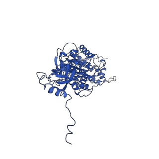 4819_6rdi_V_v1-2
Cryo-EM structure of Polytomella F-ATP synthase, Rotary substate 1A, monomer-masked refinement