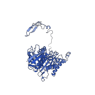 4819_6rdi_Z_v1-2
Cryo-EM structure of Polytomella F-ATP synthase, Rotary substate 1A, monomer-masked refinement