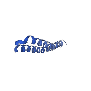 4820_6rdj_C_v1-2
Cryo-EM structure of Polytomella F-ATP synthase, Rotary substate 1A, focussed refinement of F1 head and rotor