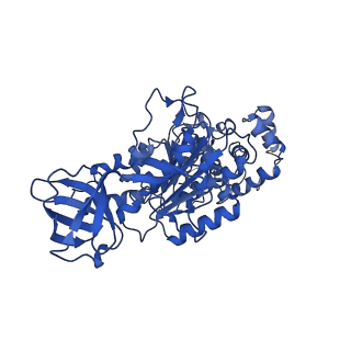 4820_6rdj_T_v1-2
Cryo-EM structure of Polytomella F-ATP synthase, Rotary substate 1A, focussed refinement of F1 head and rotor