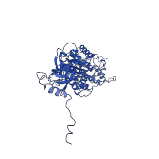 4820_6rdj_V_v1-2
Cryo-EM structure of Polytomella F-ATP synthase, Rotary substate 1A, focussed refinement of F1 head and rotor