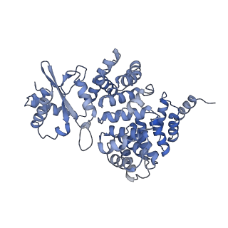4821_6rdk_2_v1-3
Cryo-EM structure of Polytomella F-ATP synthase, Rotary substate 1B, composite map