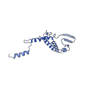 4821_6rdk_7_v1-3
Cryo-EM structure of Polytomella F-ATP synthase, Rotary substate 1B, composite map