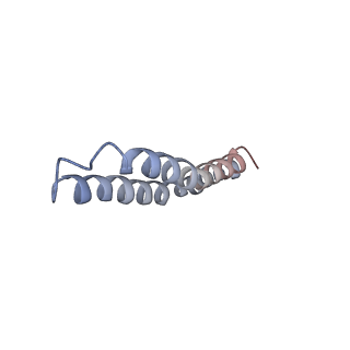 4821_6rdk_C_v1-3
Cryo-EM structure of Polytomella F-ATP synthase, Rotary substate 1B, composite map