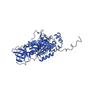 4821_6rdk_T_v1-3
Cryo-EM structure of Polytomella F-ATP synthase, Rotary substate 1B, composite map