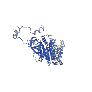 4821_6rdk_U_v1-3
Cryo-EM structure of Polytomella F-ATP synthase, Rotary substate 1B, composite map