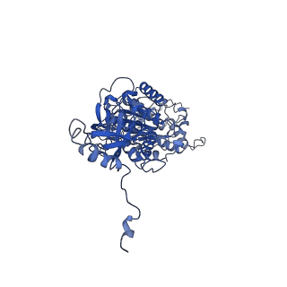 4821_6rdk_V_v1-3
Cryo-EM structure of Polytomella F-ATP synthase, Rotary substate 1B, composite map