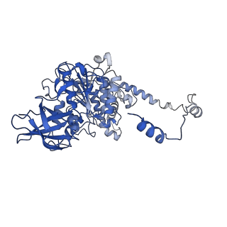 4821_6rdk_Y_v1-3
Cryo-EM structure of Polytomella F-ATP synthase, Rotary substate 1B, composite map