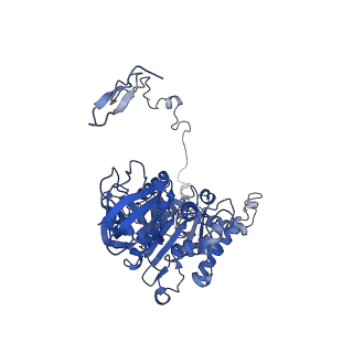 4821_6rdk_Z_v1-3
Cryo-EM structure of Polytomella F-ATP synthase, Rotary substate 1B, composite map