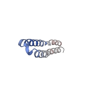 4823_6rdm_A_v1-3
Cryo-EM structure of Polytomella F-ATP synthase, Rotary substate 1B, focussed refinement of F1 head and rotor