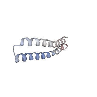 4823_6rdm_D_v1-3
Cryo-EM structure of Polytomella F-ATP synthase, Rotary substate 1B, focussed refinement of F1 head and rotor