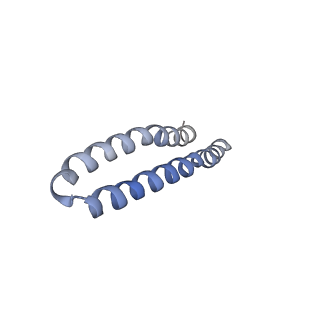 4823_6rdm_F_v1-3
Cryo-EM structure of Polytomella F-ATP synthase, Rotary substate 1B, focussed refinement of F1 head and rotor