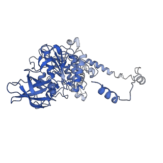4823_6rdm_Y_v1-3
Cryo-EM structure of Polytomella F-ATP synthase, Rotary substate 1B, focussed refinement of F1 head and rotor