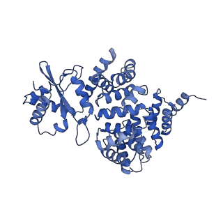 4824_6rdn_2_v1-2
Cryo-EM structure of Polytomella F-ATP synthase, Rotary substate 1C, monomer-masked refinement