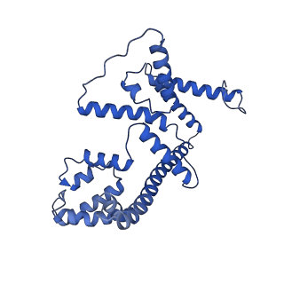 4824_6rdn_4_v1-2
Cryo-EM structure of Polytomella F-ATP synthase, Rotary substate 1C, monomer-masked refinement