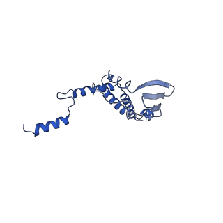 4824_6rdn_7_v1-2
Cryo-EM structure of Polytomella F-ATP synthase, Rotary substate 1C, monomer-masked refinement