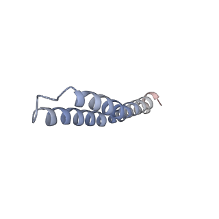 4824_6rdn_C_v1-2
Cryo-EM structure of Polytomella F-ATP synthase, Rotary substate 1C, monomer-masked refinement