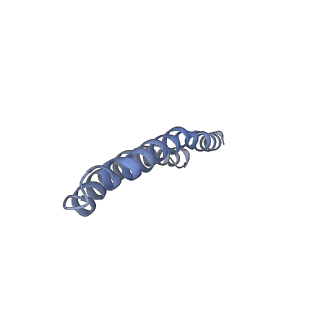 4824_6rdn_H_v1-2
Cryo-EM structure of Polytomella F-ATP synthase, Rotary substate 1C, monomer-masked refinement