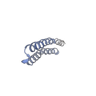 4824_6rdn_I_v1-2
Cryo-EM structure of Polytomella F-ATP synthase, Rotary substate 1C, monomer-masked refinement