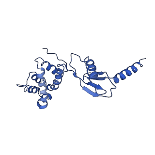 4824_6rdn_P_v1-2
Cryo-EM structure of Polytomella F-ATP synthase, Rotary substate 1C, monomer-masked refinement
