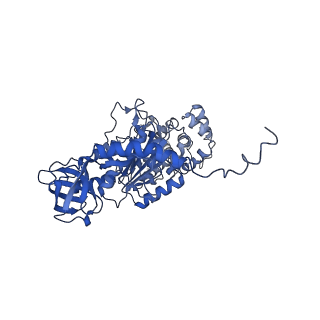 4824_6rdn_T_v1-2
Cryo-EM structure of Polytomella F-ATP synthase, Rotary substate 1C, monomer-masked refinement