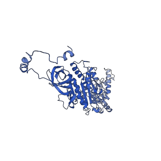 4824_6rdn_U_v1-2
Cryo-EM structure of Polytomella F-ATP synthase, Rotary substate 1C, monomer-masked refinement
