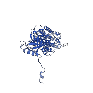 4824_6rdn_V_v1-2
Cryo-EM structure of Polytomella F-ATP synthase, Rotary substate 1C, monomer-masked refinement