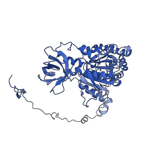 4824_6rdn_X_v1-2
Cryo-EM structure of Polytomella F-ATP synthase, Rotary substate 1C, monomer-masked refinement