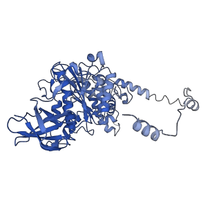 4824_6rdn_Y_v1-2
Cryo-EM structure of Polytomella F-ATP synthase, Rotary substate 1C, monomer-masked refinement