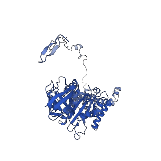 4824_6rdn_Z_v1-2
Cryo-EM structure of Polytomella F-ATP synthase, Rotary substate 1C, monomer-masked refinement