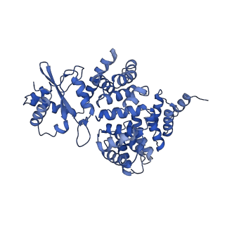 4825_6rdo_2_v1-3
Cryo-EM structure of Polytomella F-ATP synthase, Rotary substate 1C, composite map