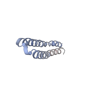 4825_6rdo_A_v1-3
Cryo-EM structure of Polytomella F-ATP synthase, Rotary substate 1C, composite map
