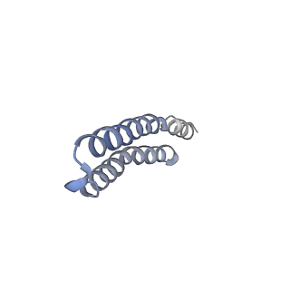 4825_6rdo_I_v1-3
Cryo-EM structure of Polytomella F-ATP synthase, Rotary substate 1C, composite map