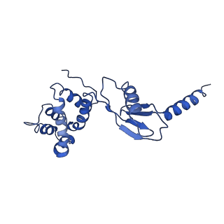4825_6rdo_P_v1-3
Cryo-EM structure of Polytomella F-ATP synthase, Rotary substate 1C, composite map